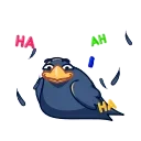 Crow 스티커