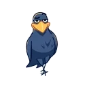 Crow 스티커