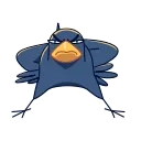 Crow 스티커