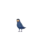 Crow 스티커