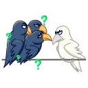 Crow 스티커
