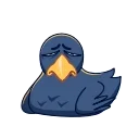Crow 스티커