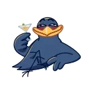 Crow 스티커