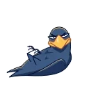 Crow 스티커