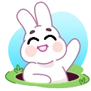 Bunny 스티커