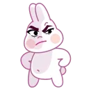 Bunny 스티커