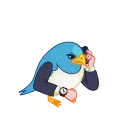 Birds 스티커