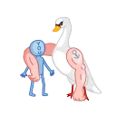 Birds 스티커