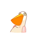 Birds 스티커