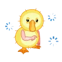 Birds 스티커