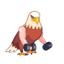 Birds 스티커