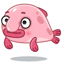 Blobfish 스티커