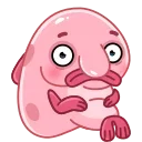 Blobfish 스티커