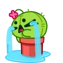 Cactus And Balloon 스티커