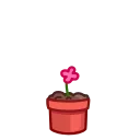 Cactus And Balloon 스티커