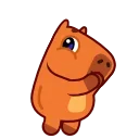 Capyboy 스티커
