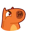 Capyboy 스티커