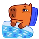 Capyboy 스티커