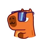 Capyboy 스티커