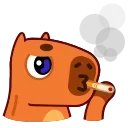 Capyboy 스티커