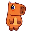 Capyboy 스티커