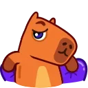 Capyboy 스티커