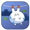 Chappy Bunny 스티커