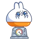 Chappy Bunny 스티커