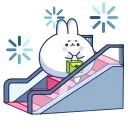 Chappy Bunny 스티커