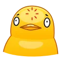 Chick 스티커