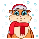 Squirrel 스티커