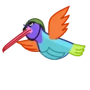 Colibri 스티커