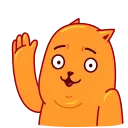Colored Cats 스티커