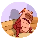 Сucaracha 스티커