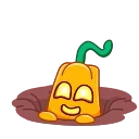 Pumpkins 스티커