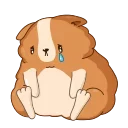 Hamster Bernard 스티커