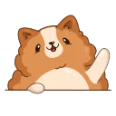 Hamster Bernard 스티커