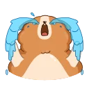 Hamster Bernard 스티커
