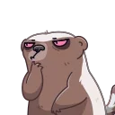 Honey Badger 스티커