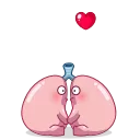 Human Organs 스티커