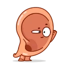 Human Organs 스티커