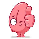 Human Organs 스티커
