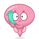 Human Organs 스티커