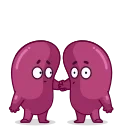 Human Organs 스티커