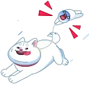 Shiba 스티커