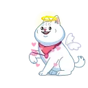 Shiba 스티커