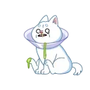Shiba 스티커