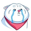 Shiba 스티커