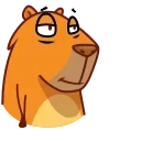 Jonny Сapybara 스티커