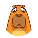 Jonny Сapybara 스티커